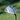 TaylorMade Hi-Toe 3 Wedge being held up on a grass background. The back of the club head is visible and shows the four chambers on the back of the head.